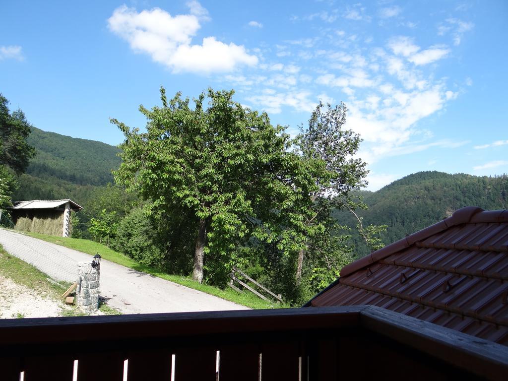 Apartments Trebusak Laze v Tuhinju Dış mekan fotoğraf